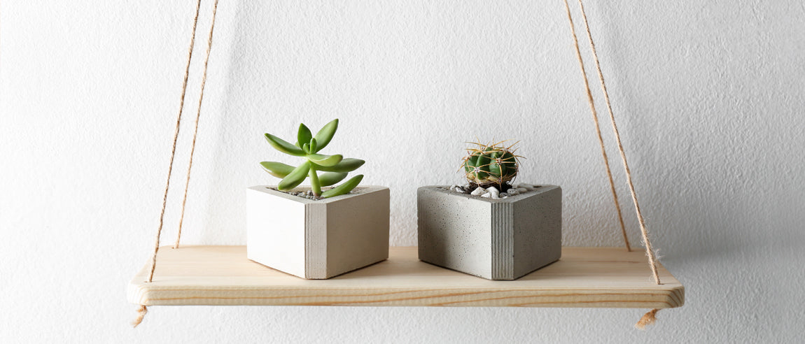 Citáty o priateľstve