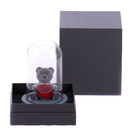 00606303_medvedik-s-ruzou-a-led-osvetlenim-10x15cm-e65