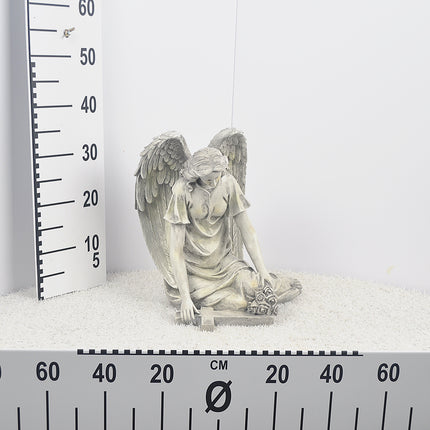 00608798_socha-anjel