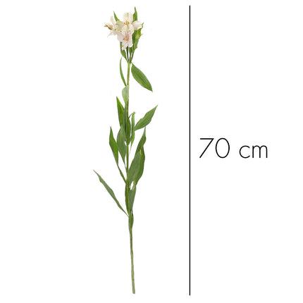 01900007_alstromeria-mix-rezana