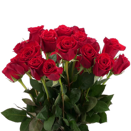 01900300_ruza-grande-cervena-40cm-rez