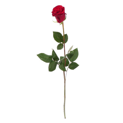 01900300_ruza-grande-cervena-40cm-rez