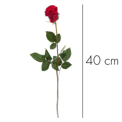 01900300_ruza-grande-cervena-40cm-rez