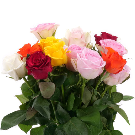 01900319_ruza-kratka-mix-rez