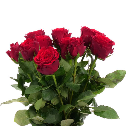 01900319_ruza-kratka-mix-rez