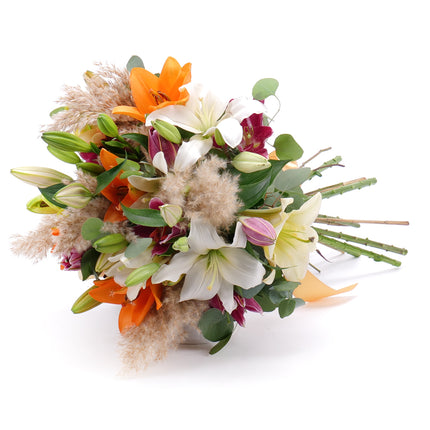 03000027_amore-farebne-lalie