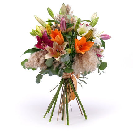 03000027_amore-farebne-lalie