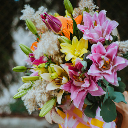 03000027_amore-farebne-lalie