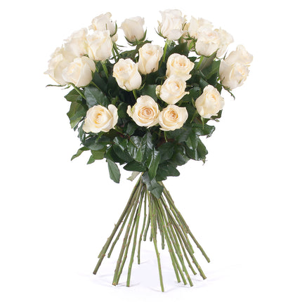 03000031_amore-kremove-ruze