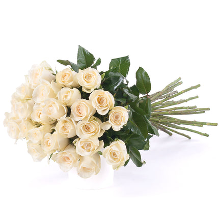 03000031_amore-kremove-ruze