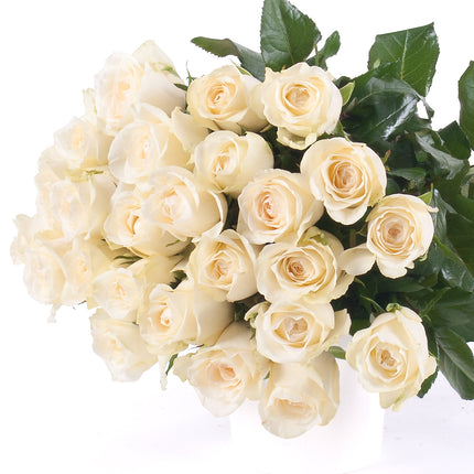 03000031_amore-kremove-ruze