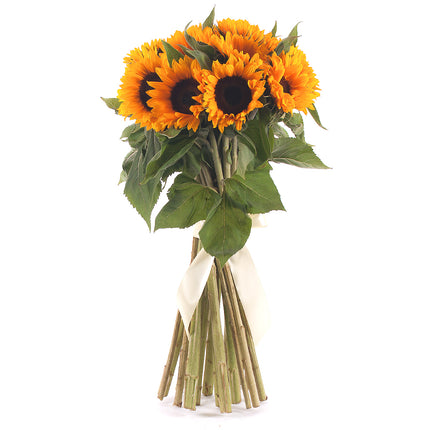 03000037_amore-slnecnice