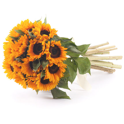 03000037_amore-slnecnice