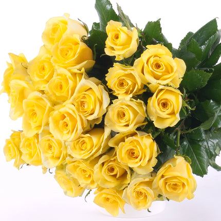 03000040_amore-zlte-ruze