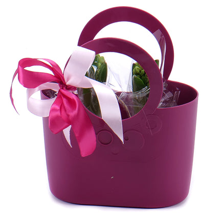 03000076_darcekova-plastova-taska-hyacinty