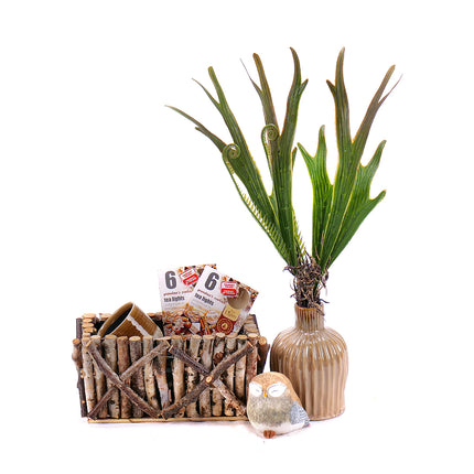 03000187_darcekovy-dreveny-box-dekoracne-doplnky