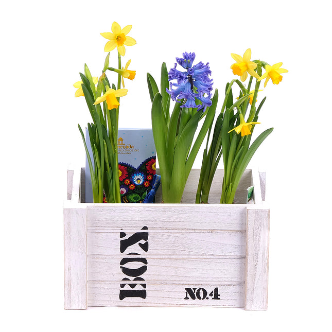 03000206_darcekovy-jarny-box-a-cokolada