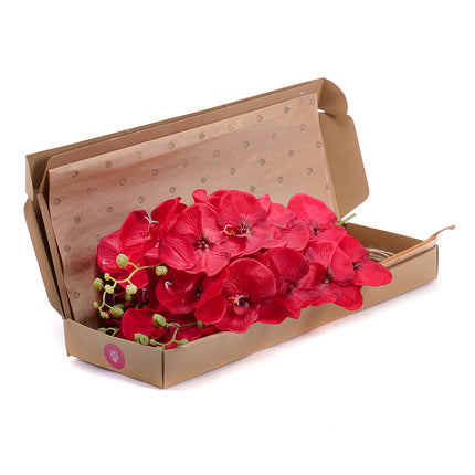 03000452_diy-irigo-umele-cervene-orchidey-do-vazy