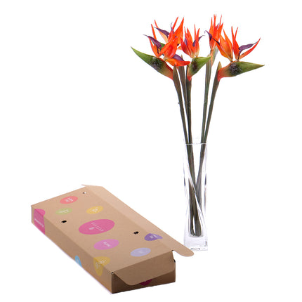 03000459_diy-irigo-umele-strelicie-do-vazy