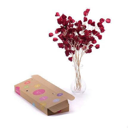 03000463_diy-irigo-umely-physalis-do-vazy