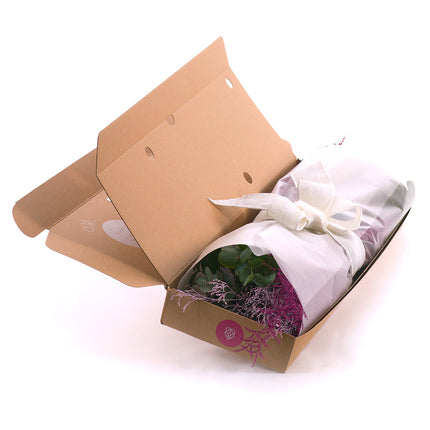 03000466_diy-kytica-eukalyptus-cinerea-a-limonka-do-vazy