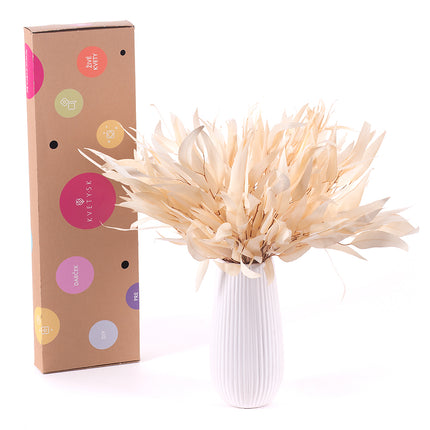 03000472_diy-kytica-in-eterno-eukalyptus-globulus-do-vazy