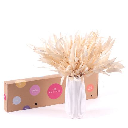 03000472_diy-kytica-in-eterno-eukalyptus-globulus-do-vazy