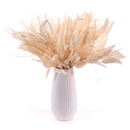 03000472_diy-kytica-in-eterno-eukalyptus-globulus-do-vazy