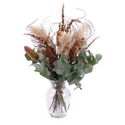 03000474_diy-kytica-irigo-protea-a-cortaderia-do-vazy