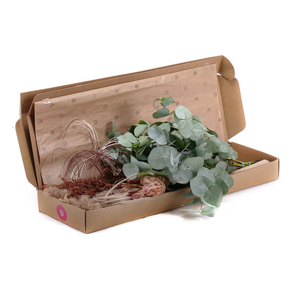 03000474_diy-kytica-irigo-protea-a-cortaderia-do-vazy