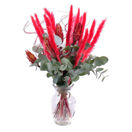03000475_diy-kytica-irigo-protea-a-cervena-cortaderia-do-vazy
