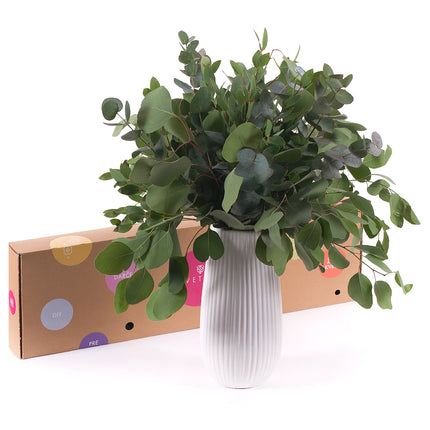 03000480_diy-kytica-tri-druhy-eukalyptu-do-vazy