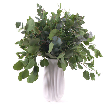 03000480_diy-kytica-tri-druhy-eukalyptu-do-vazy