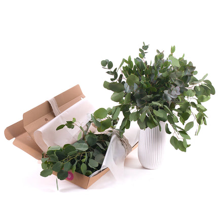 03000480_diy-kytica-tri-druhy-eukalyptu-do-vazy