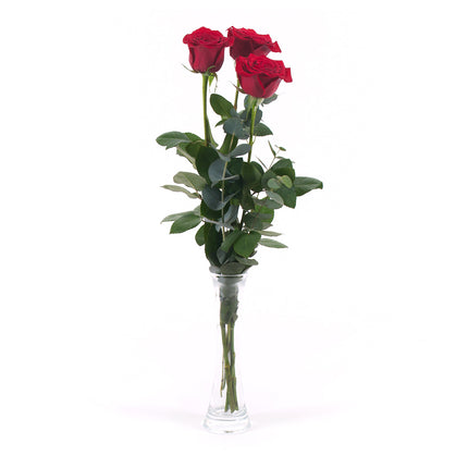 03000483_diy-kytica-3-cervene-ruze