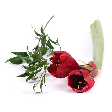 03000489_diy-kytica-cerveny-amarylis