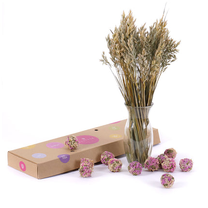 03000504_diy-kytica-susene-obilie-a-latabally