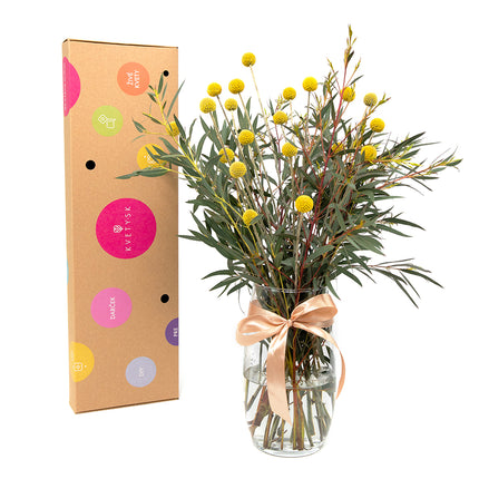 03000507_diy-kytica-zlta-craspedia-a-eucalyptus-parvifolia-do-vazy