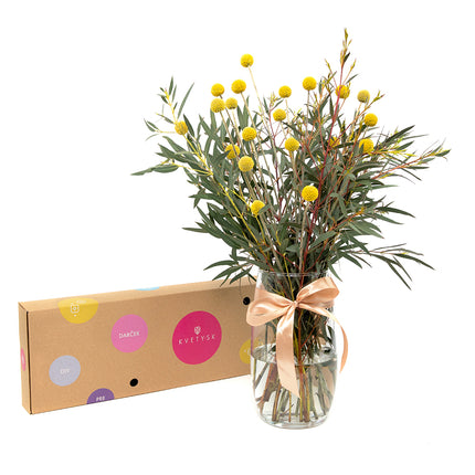 03000507_diy-kytica-zlta-craspedia-a-eucalyptus-parvifolia-do-vazy