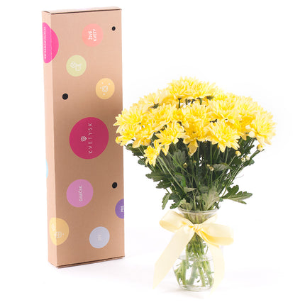 03000509_diy-kytica-zlte-chryzantemy-do-vazy