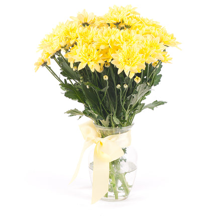 03000509_diy-kytica-zlte-chryzantemy-do-vazy