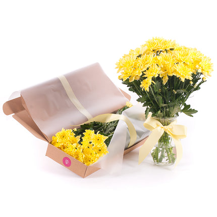 03000509_diy-kytica-zlte-chryzantemy-do-vazy