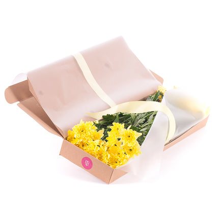 03000509_diy-kytica-zlte-chryzantemy-do-vazy