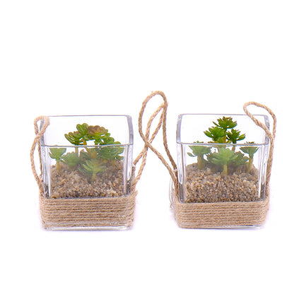 03000571_duo-umele-sukulenty-v-sklenenom-obale