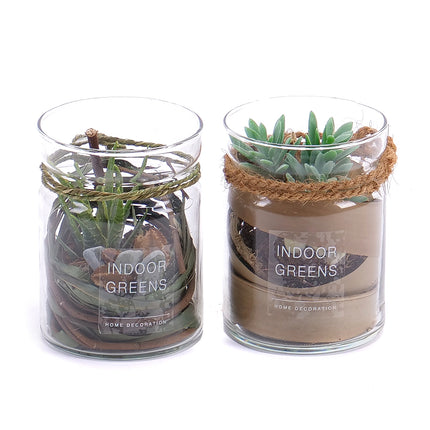 03000572_duo-umele-sukulenty-v-sklenenom-obale-1