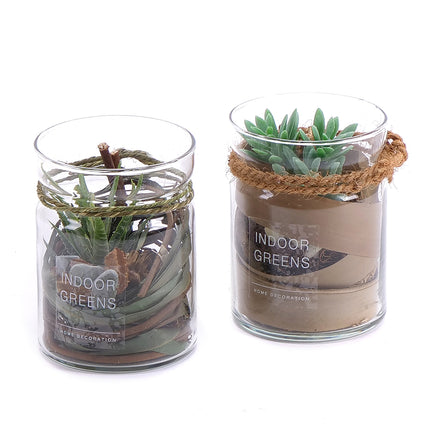 03000572_duo-umele-sukulenty-v-sklenenom-obale-1