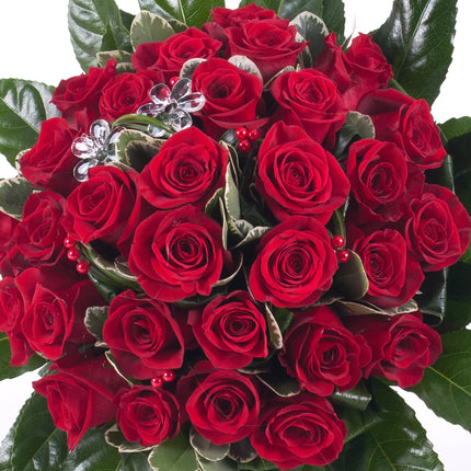 03000587_elite-cervene-ruze-grand