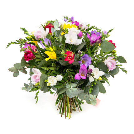 03000592_elite-farebne-frezie