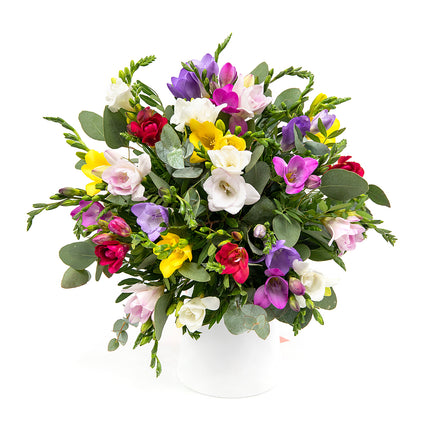 03000592_elite-farebne-frezie