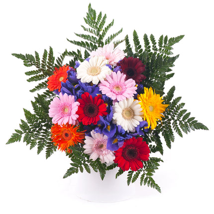 03000593_elite-farebne-gerbery-a-irisy